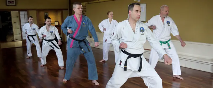Karate-Do International Nederland — vechtsport-studio in IJsselmonde, Rotterdam — 2