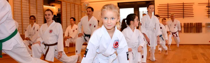 Karate-Do International Nederland — Vechtsport in IJsselmonde, Rotterdam