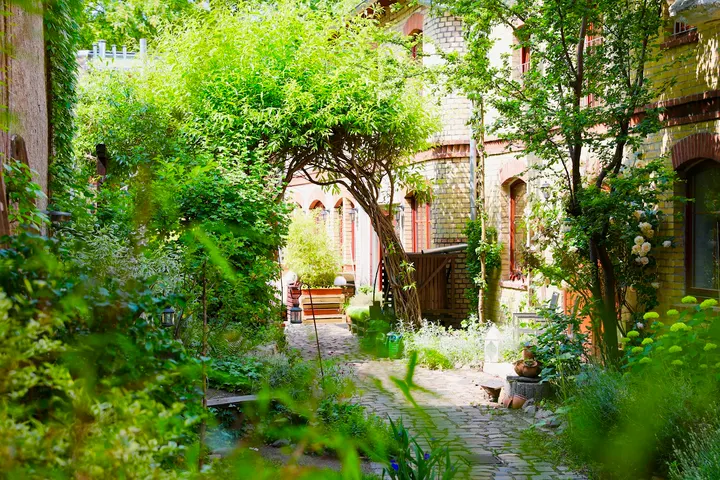 Deutsche Akademie für traditionelles Yoga e.V. (in Berlin) — yoga-studio in Mitte, Berlin — 3