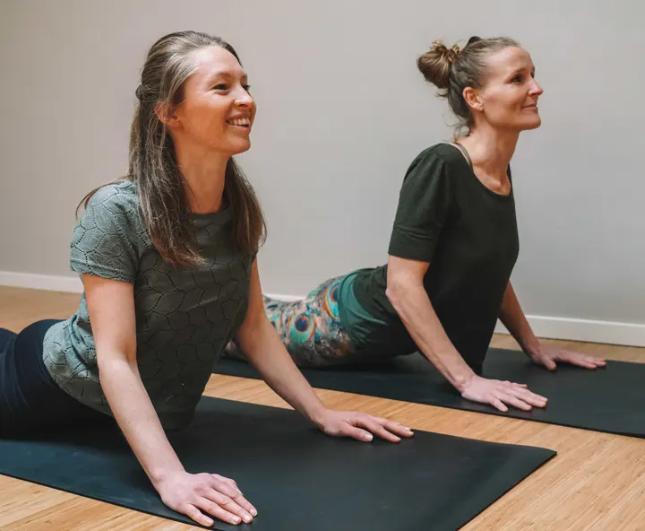 Raja Yoga Opleiding — yoga-studio in Bakkum — 5