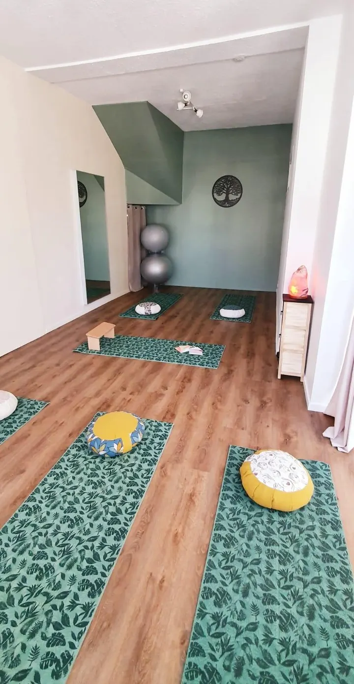 Pilates Grenoble | Camille AUZERAL — pilates-studio à Croix Rouge, Saint-Martin-d'Hères — 3