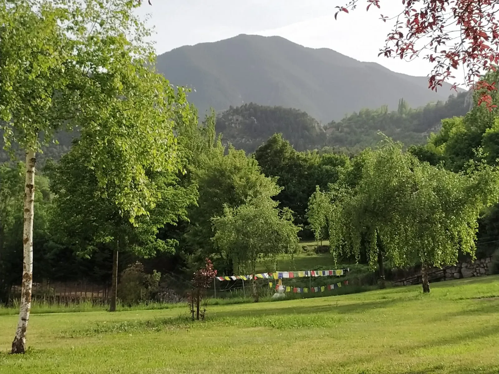 Mindfulness Sant Cugat — meditación-studio en Sant Cugat del Vallès — 5