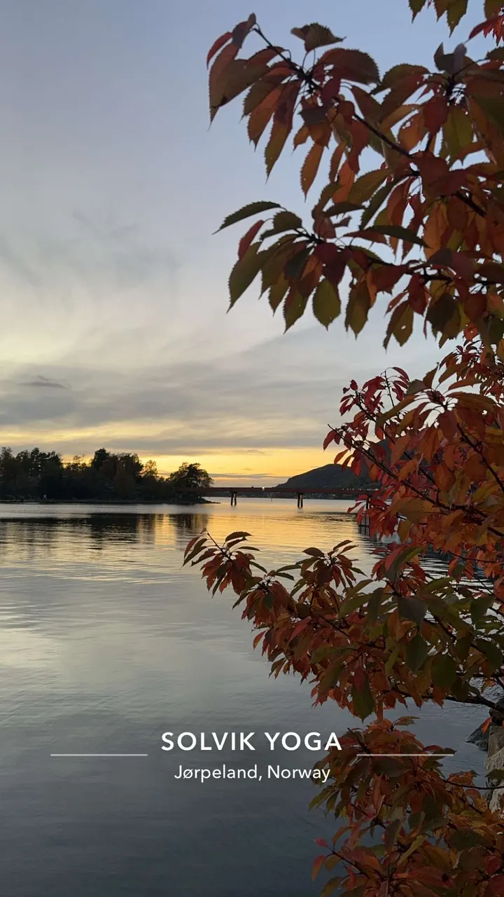 Solvik Yoga — yoga-studio i Stavanger — 4