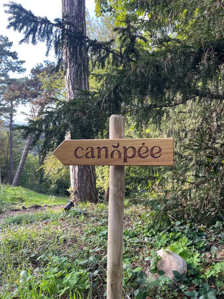 Canopée Yoga — yoga-studio à Caluire-et-Cuire, Lyon — 3
