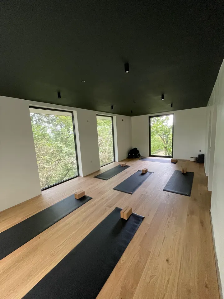 Canopée Yoga — yoga-studio à Lyon — 4