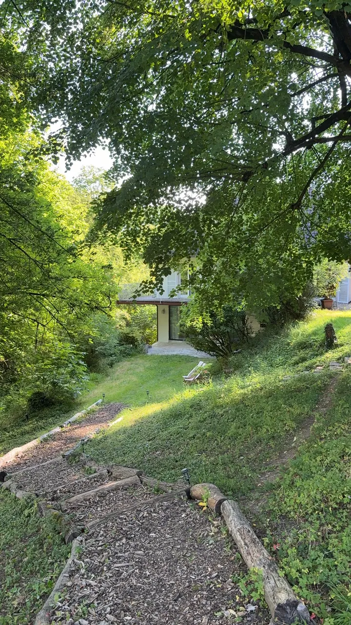 Canopée Yoga — yoga-studio à Lyon — 5