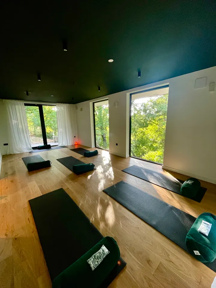 Canopée Yoga — Yoga à Caluire-et-Cuire