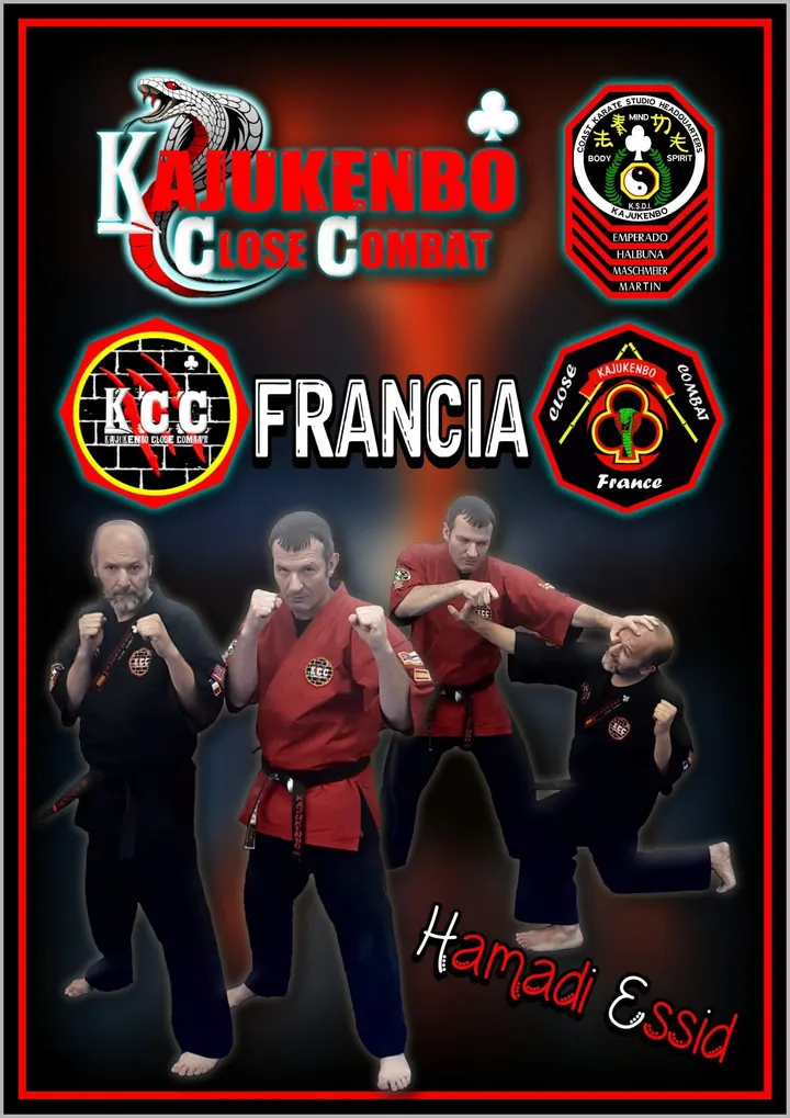 Kajukenbo Close Combat France — arts martiaux-studio à Lyon — 4