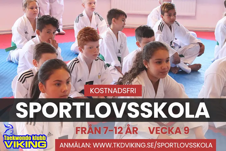 Taekwondo klubb Viking — Kampsport i Haninge