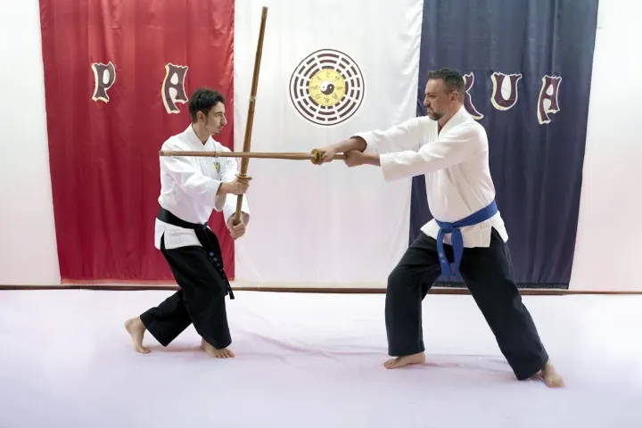 Pa-Kua Tapada das Mercês — artes marciais-studio em Sintra — 3