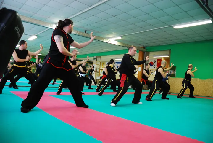 Hung Gar Team Palestra RODARI — arti marziali-studio a Tetti Neirotti — 5