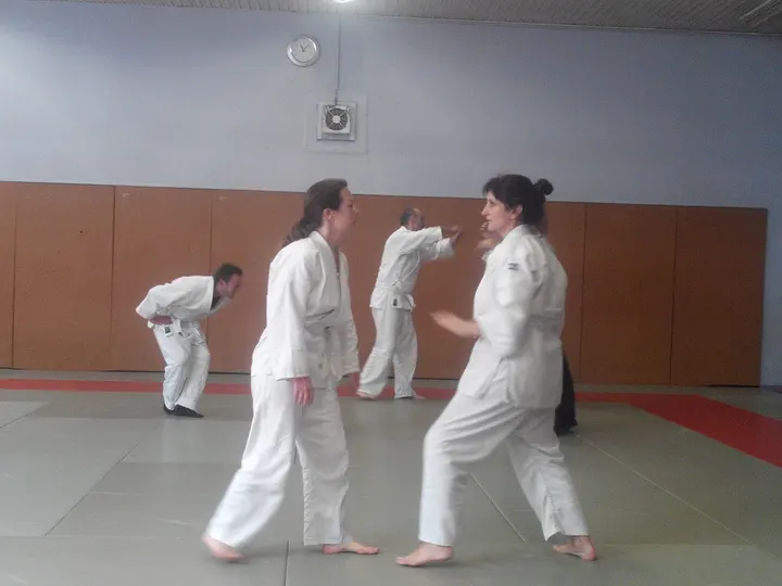 Aikido Lac — arts martiaux-studio à Châteaucreux, Saint-Étienne — 2