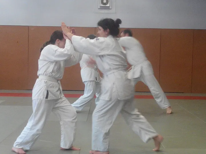 Aikido Lac — arts martiaux-studio à Châteaucreux, Saint-Étienne — 3