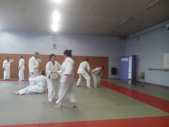 Aikido Lac — Arts martiaux à Châteaucreux, Saint-Étienne