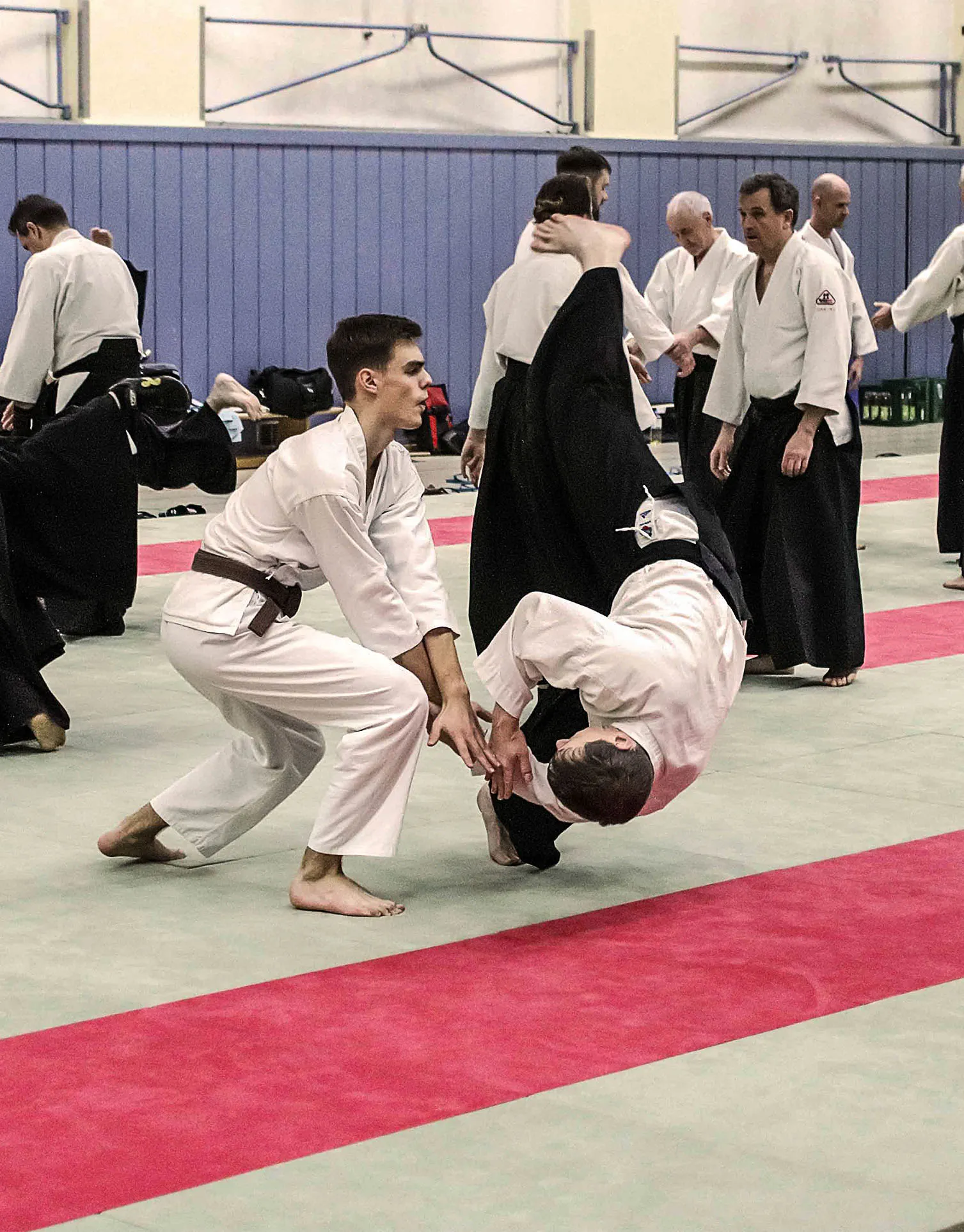 Aikido-Verband Berlin-Brandenburg e.V. — kampfsport-studio in Berlin — 4