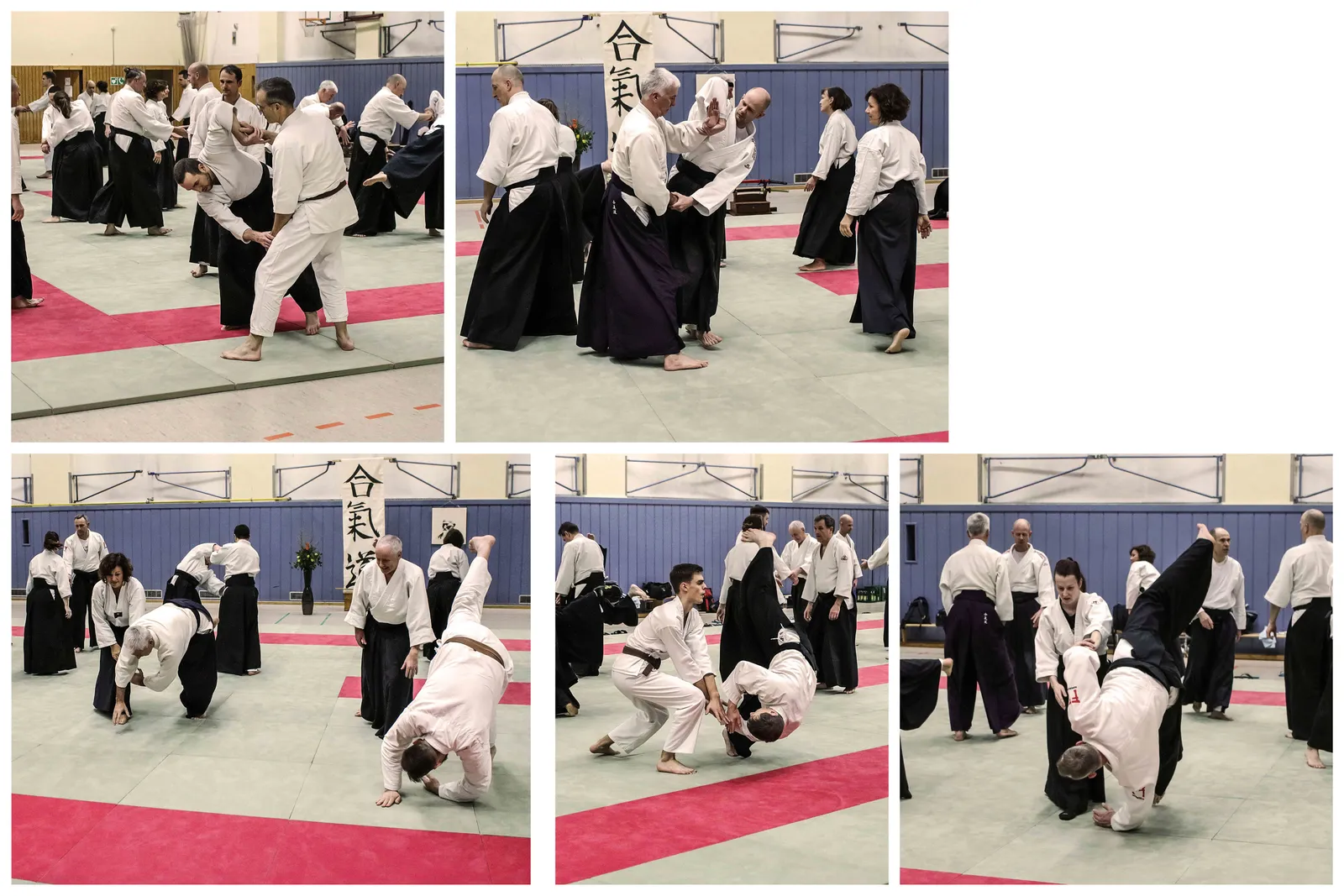 Aikido-Verband Berlin-Brandenburg e.V. — kampfsport-studio in Berlin — 5