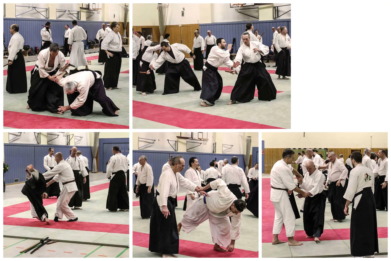 Aikido-Verband Berlin-Brandenburg e.V. — kampfsport-studio in Berlin — 6