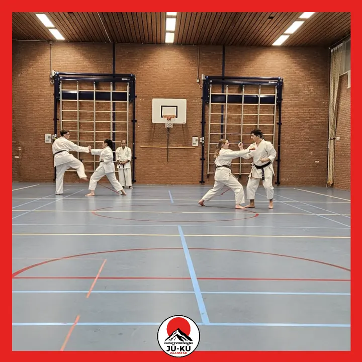 Juku zaanstad — vechtsport-studio in Krommenie — 3