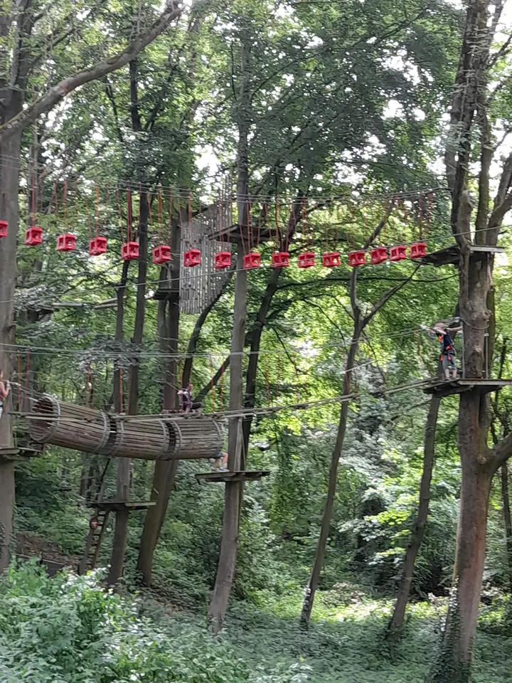Hardtbergbad (Kombibad) — studio in Bonn — 4