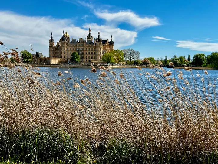 Original Bootcamp - Outdoor Fitness I Schwimmende Wiese Schwerin — functional training-studio in Schwerin — 3