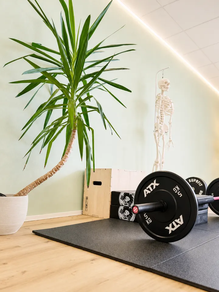 Madlen Eichhorn 360°Training — pt-studio in Schwetzingen — 4