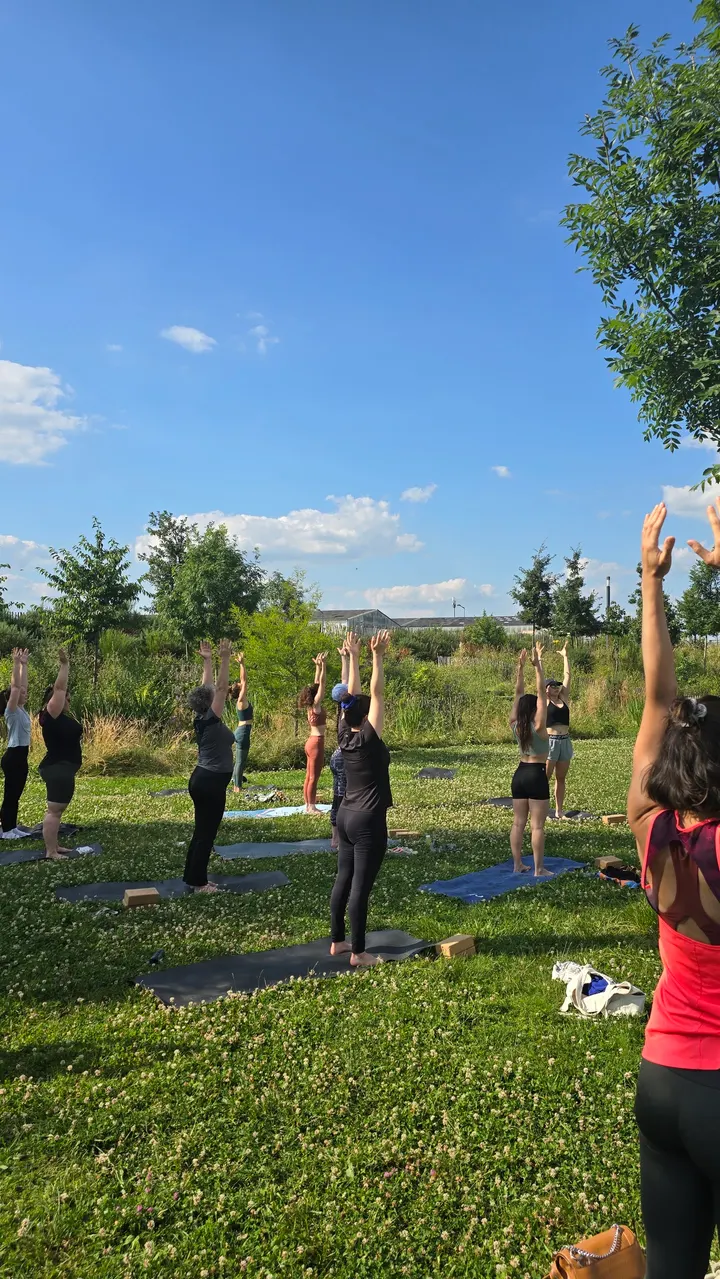 Le Studio Yoga Angers — yoga-studio à Angers — 4