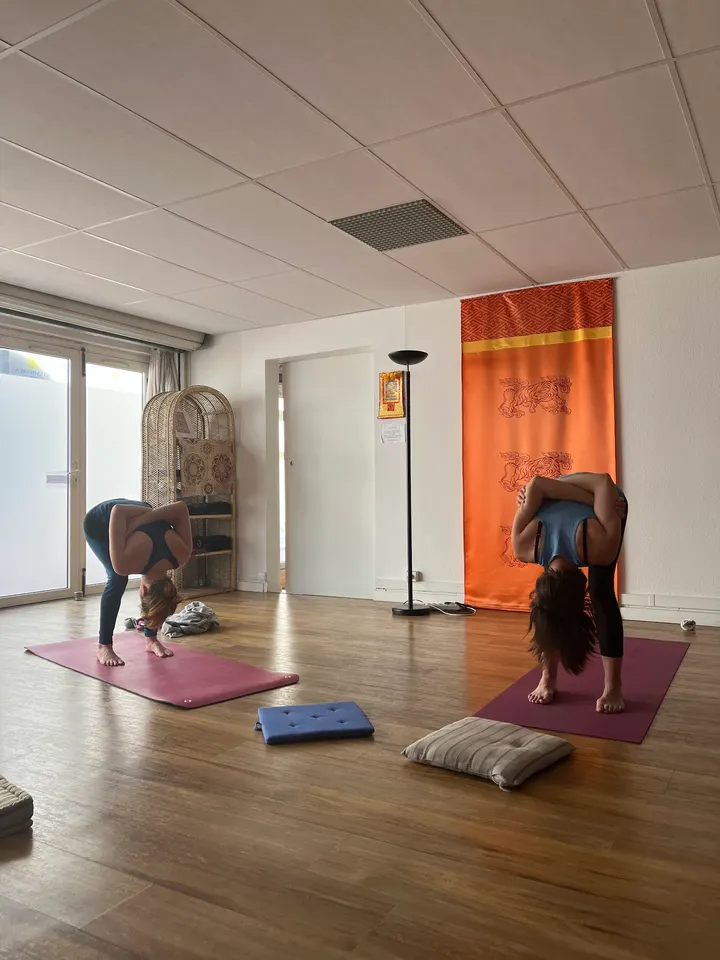 L'Intuitive Yoga Centre Historique — yoga-studio à Centre Historique, Montpellier — 3