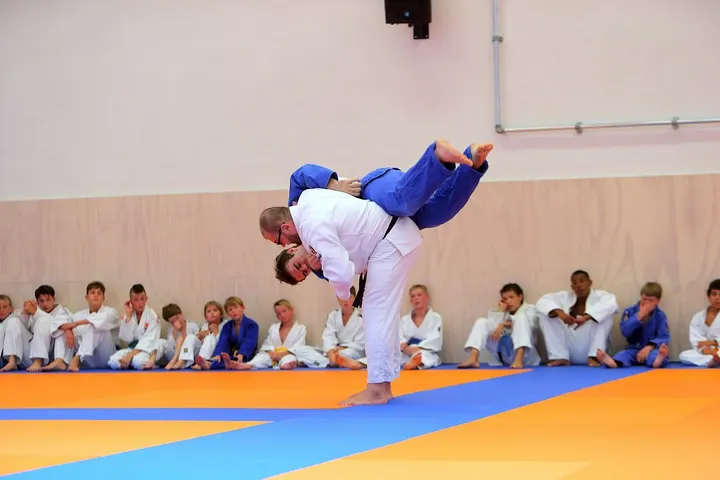 Judo Academy Netherlands — vechtsport-studio in Goirle — 3