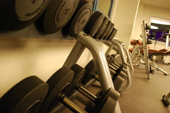 Skip Intro Fitness — Palestre a San Felice Sul Panaro