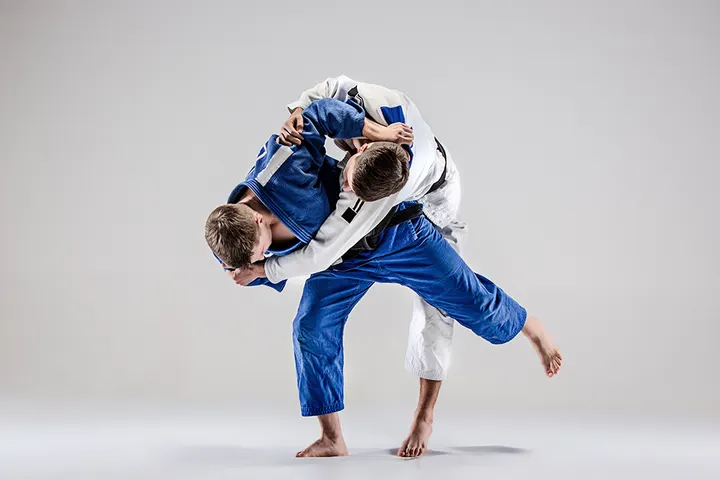 Dojo Franc-Comtois — Arts martiaux à Fontaine Argent, Besançon