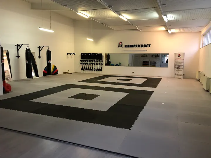 Kampfkunstschule Sedats Dragon Team — kampfsport-studio in Frankenthal Kernstadt, Frankenthal (Pfalz) — 2