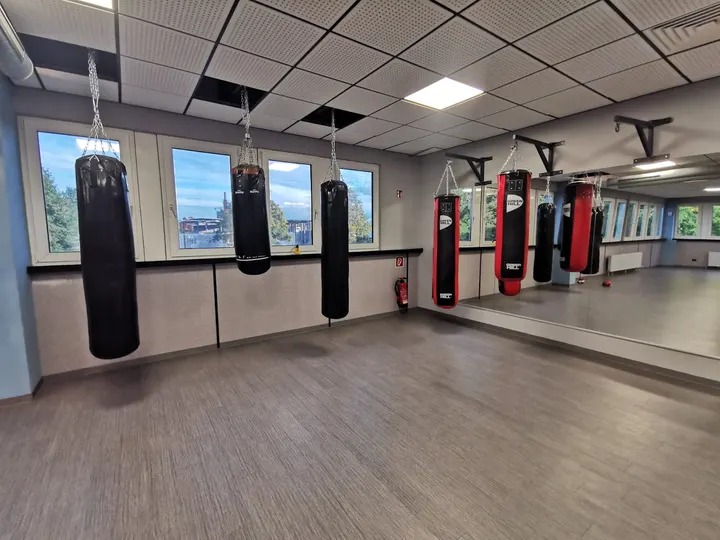 Alpha Box-Club Ingolstadt — Fitnessstudio in Josephviertel, Ingolstadt