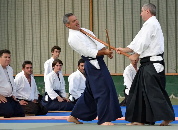 AIKIDO TRADITIONNEL AUZEVILLE — arts martiaux-studio à Auzeville-Tolosane — 4