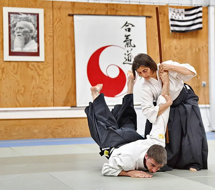 AIKIDO TRADITIONNEL AUZEVILLE — arts martiaux-studio à Auzeville-Tolosane — 5