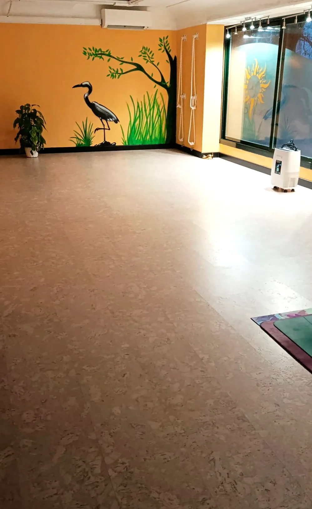Yoga Calma — yoga-studio i Madrid — bild 3