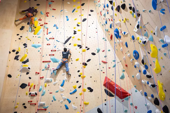 Climbing Network (Ncc) — klimmen-studio in Nieuwegein — 6