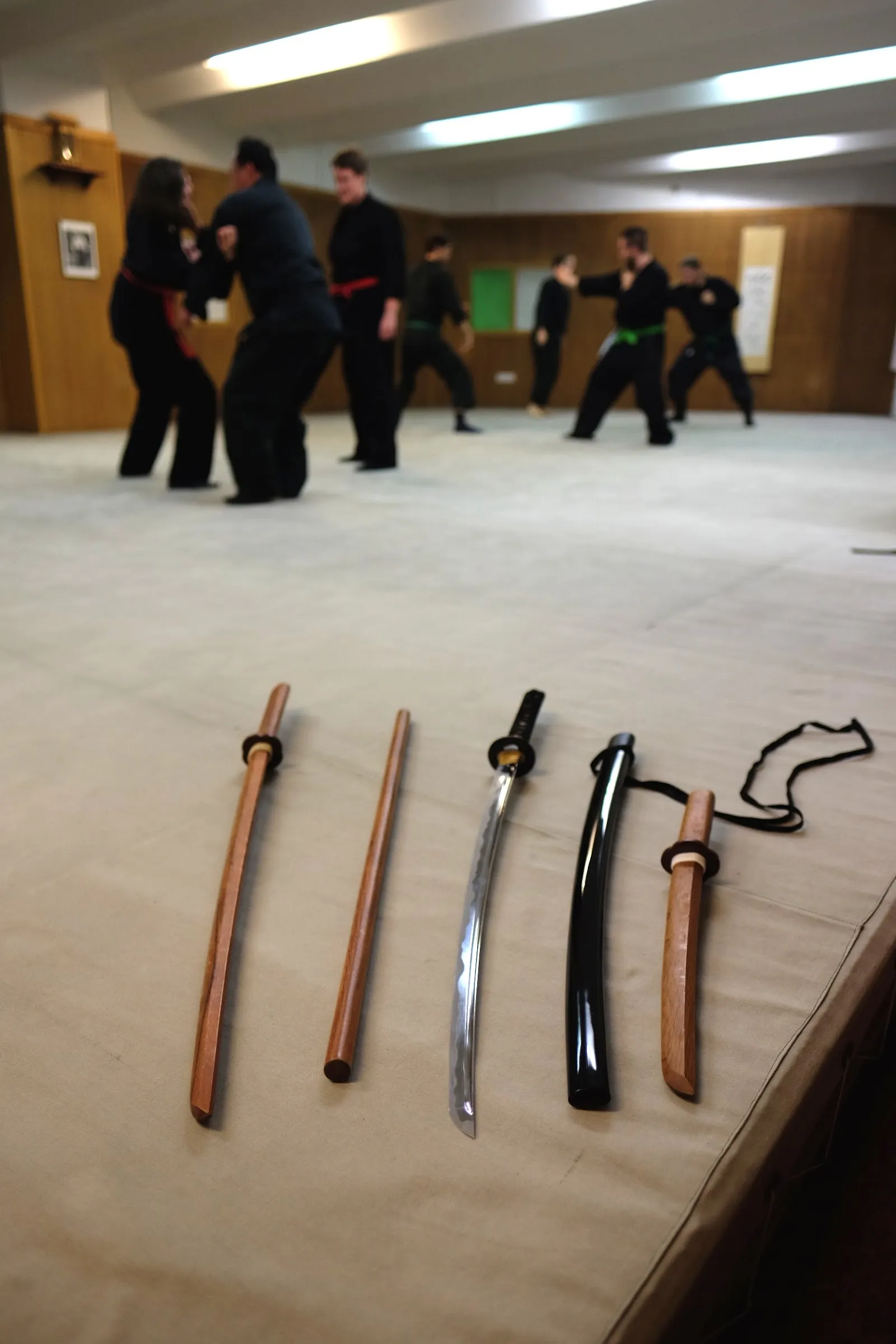 Bujinkan Hoshi Dôjô Hamburg — kampfsport-studio in Hamburg — 3