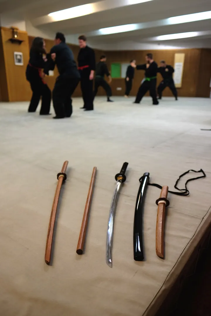 Bujinkan Hoshi Dôjô Hamburg — kampfsport-studio in Hamburg — 3