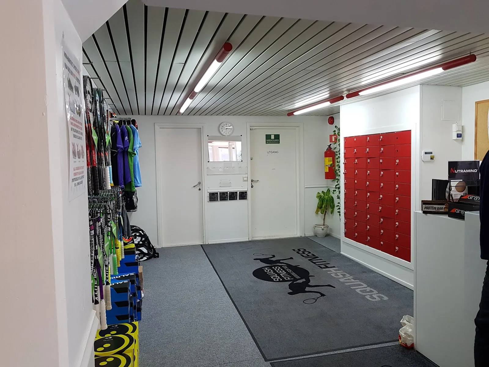 Lysaker Squash — kampsport-studio i Lysaker, Lysaker — 2