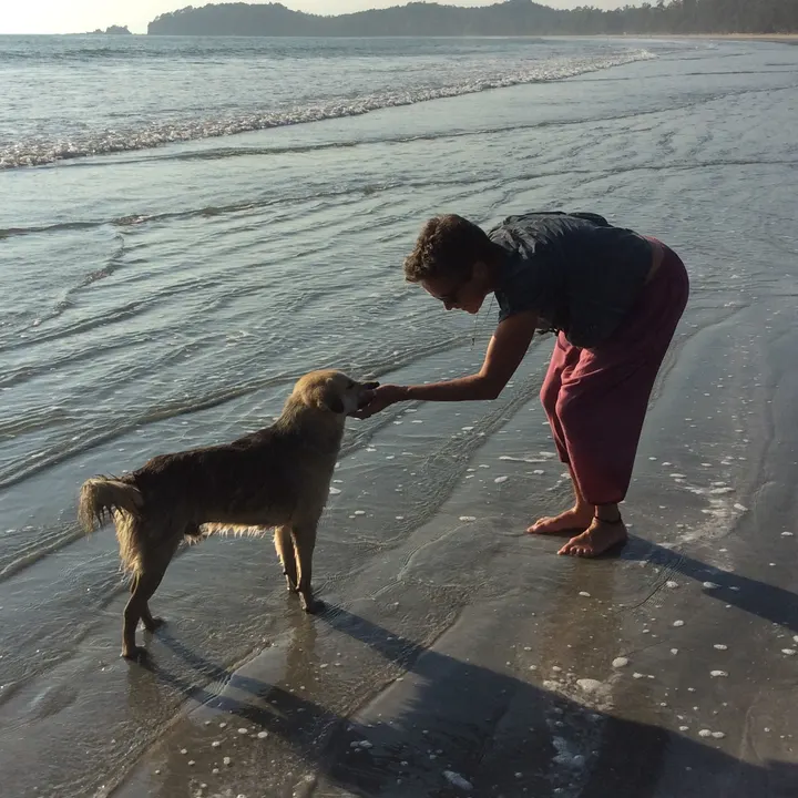 Into the Center — Yoga in Hamersveld-Nieuw, Leusden
