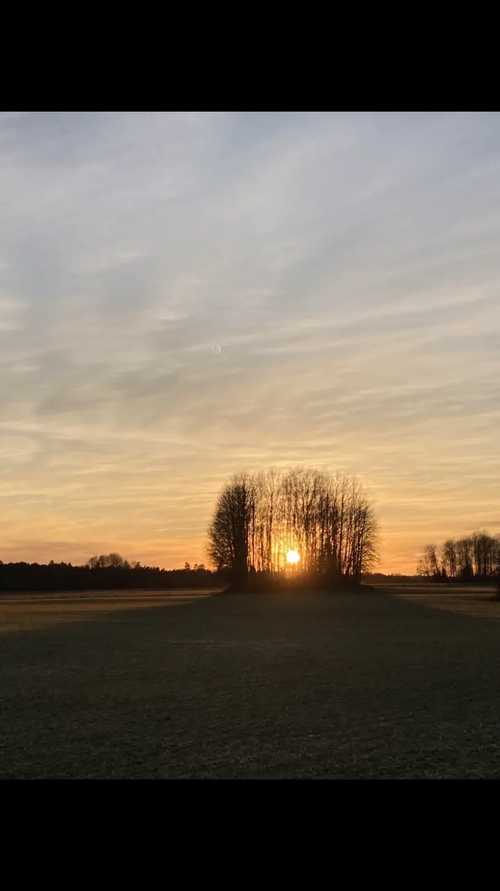 Oppråby gamla skola — yoga-studio i Västerås — 3