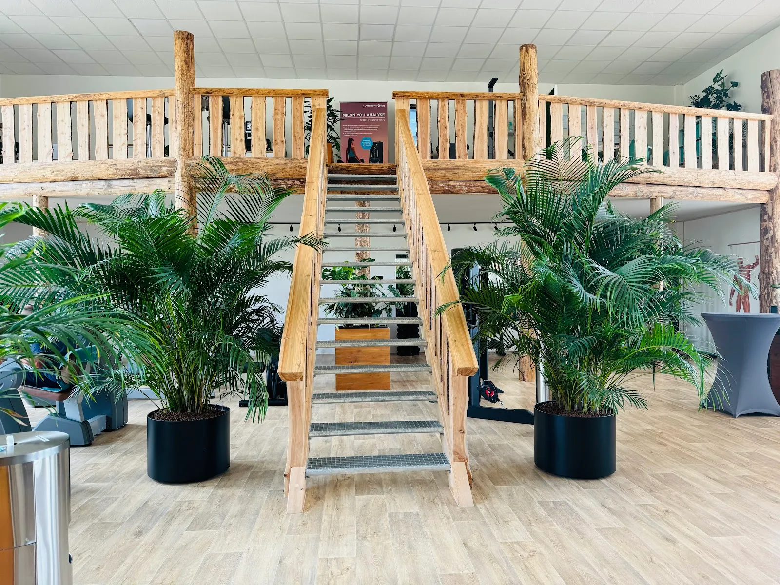 Sport im Geiseltal UG (haftungsbeschränkt) — fitnessstudio in Mücheln (Geiseltal)-Stöbnitz — 2