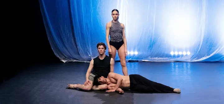 DanceHaus — danza-studio a Umbria - Molise, Milano — 3