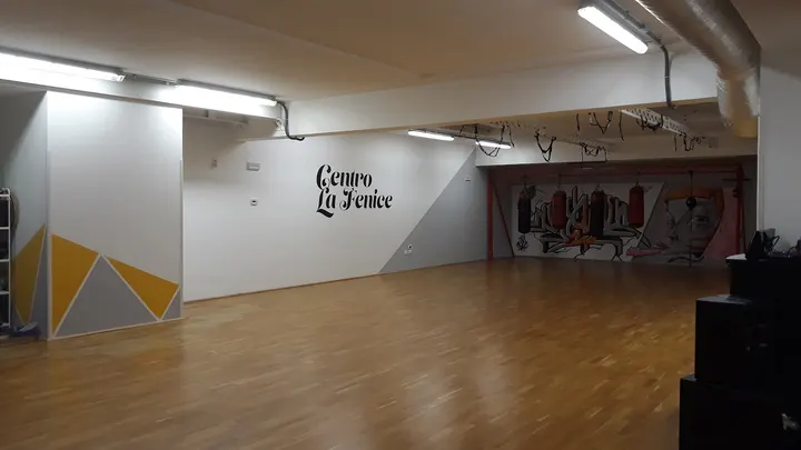 Centro LaFenice — danza-studio a Modena — 5
