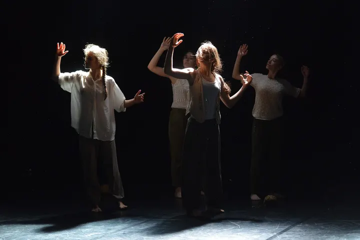Centro LaFenice — Danza a Sacca, Modena
