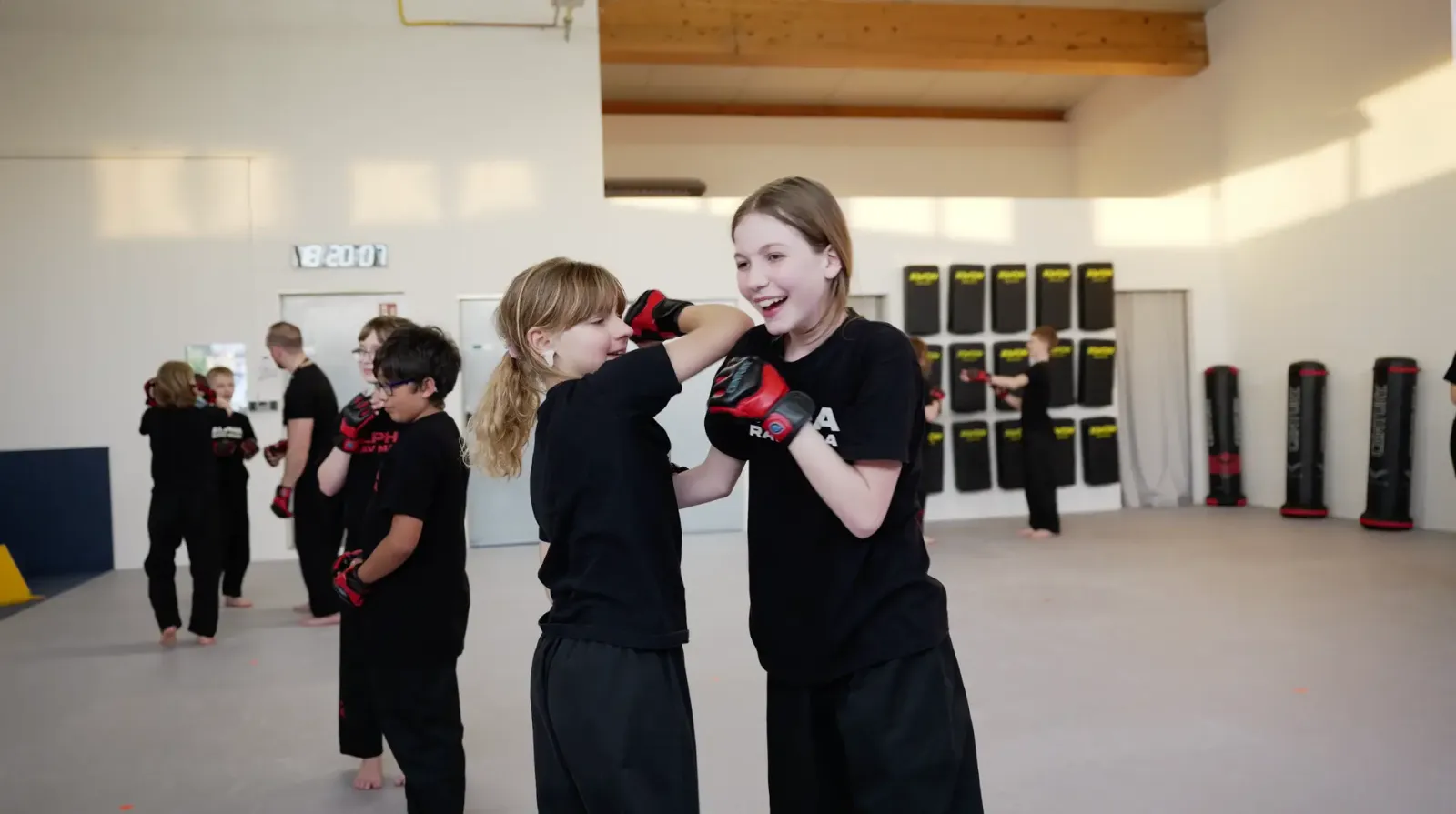 ALPHA (Selbstverteidigung Karlsruhe) — kampfsport-studio in Killisfeld, Karlsruhe — 2