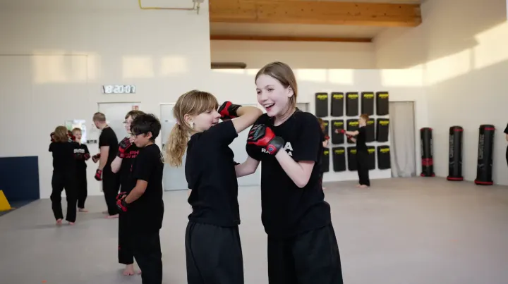 ALPHA (Selbstverteidigung Karlsruhe) — kampfsport-studio in Killisfeld, Karlsruhe — 2