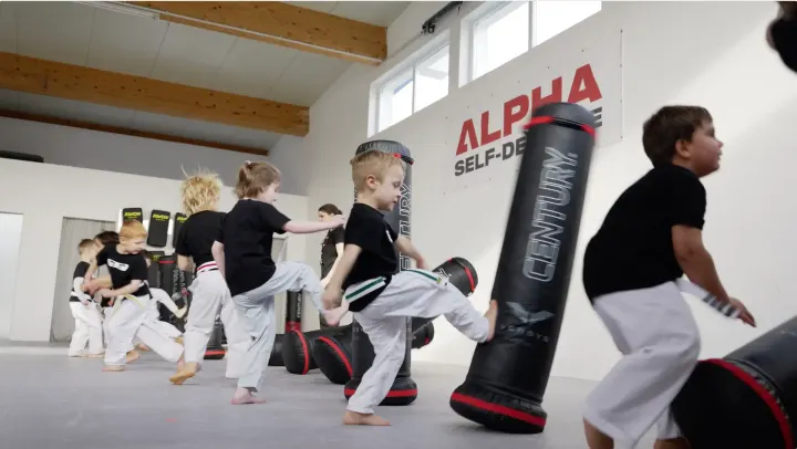 ALPHA (Selbstverteidigung Karlsruhe) — Kampfsport in Killisfeld, Karlsruhe