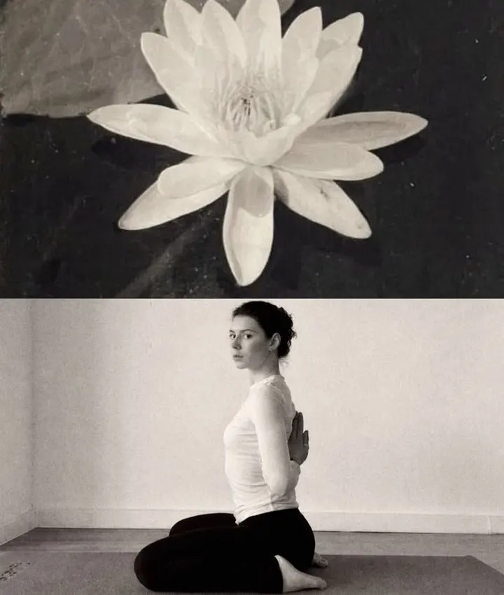 BRISSE — Chiropractic, Barré, Yoga — yoga-studio en La Victoria, Málaga — 3