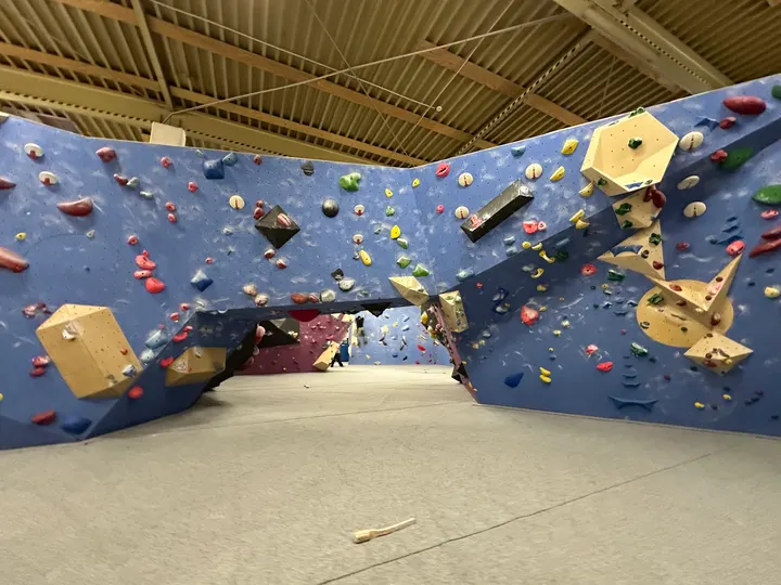 Boulders Habitat Bonn — bouldern-studio in Bonn — 4